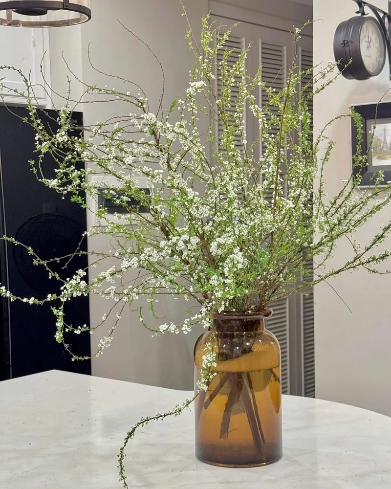 Ngày xuân thêm tươi mới nhờ Ảnh bình hoa Tết ngày xuân