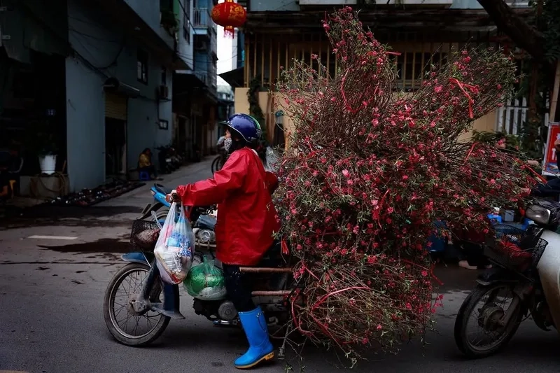 Bộ hình nền chợ tết xưa bình dị