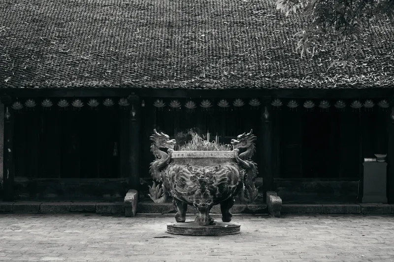 Tấm ảnh đình làng và cây đa cổ thụ