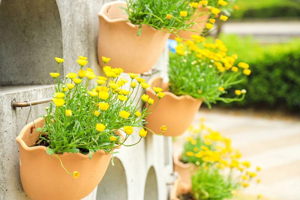 Hình nền máy tính hoa xuân ngập sắc xuân