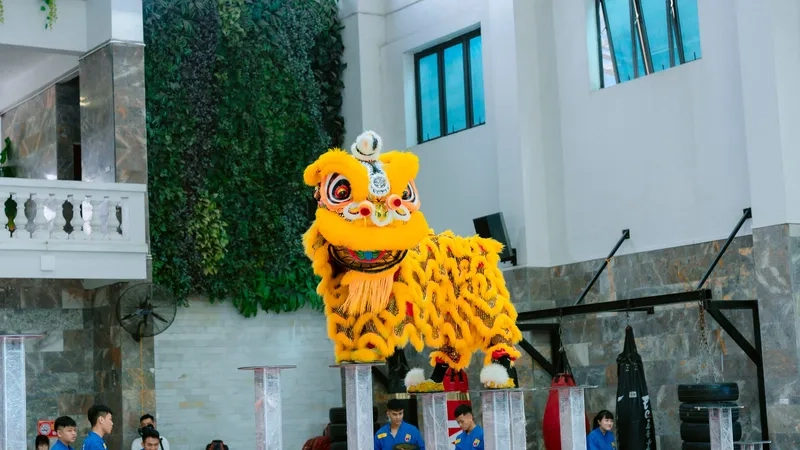 Mẫu hình nền múa lân tết đẹp