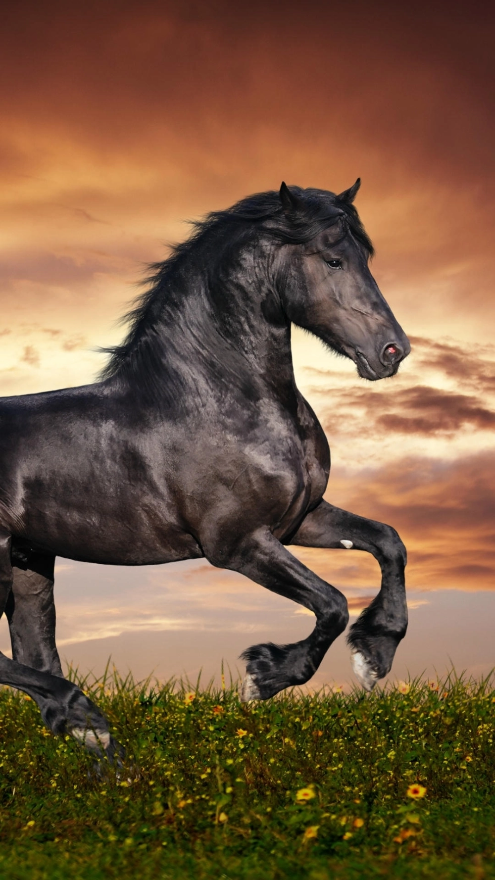 Hình nền điện thoại mã đáo thành công tinh tế