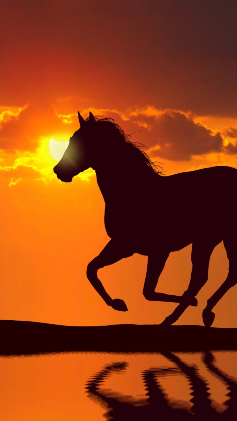 Tải hình nền mã đáo thành công 4k chất lượng cao