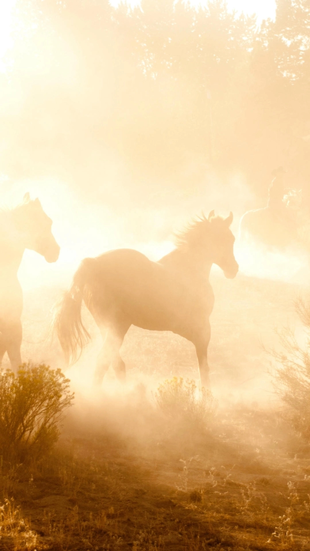 Hình nền ngựa may mắn 2026 phong cách tranh thủy mặc