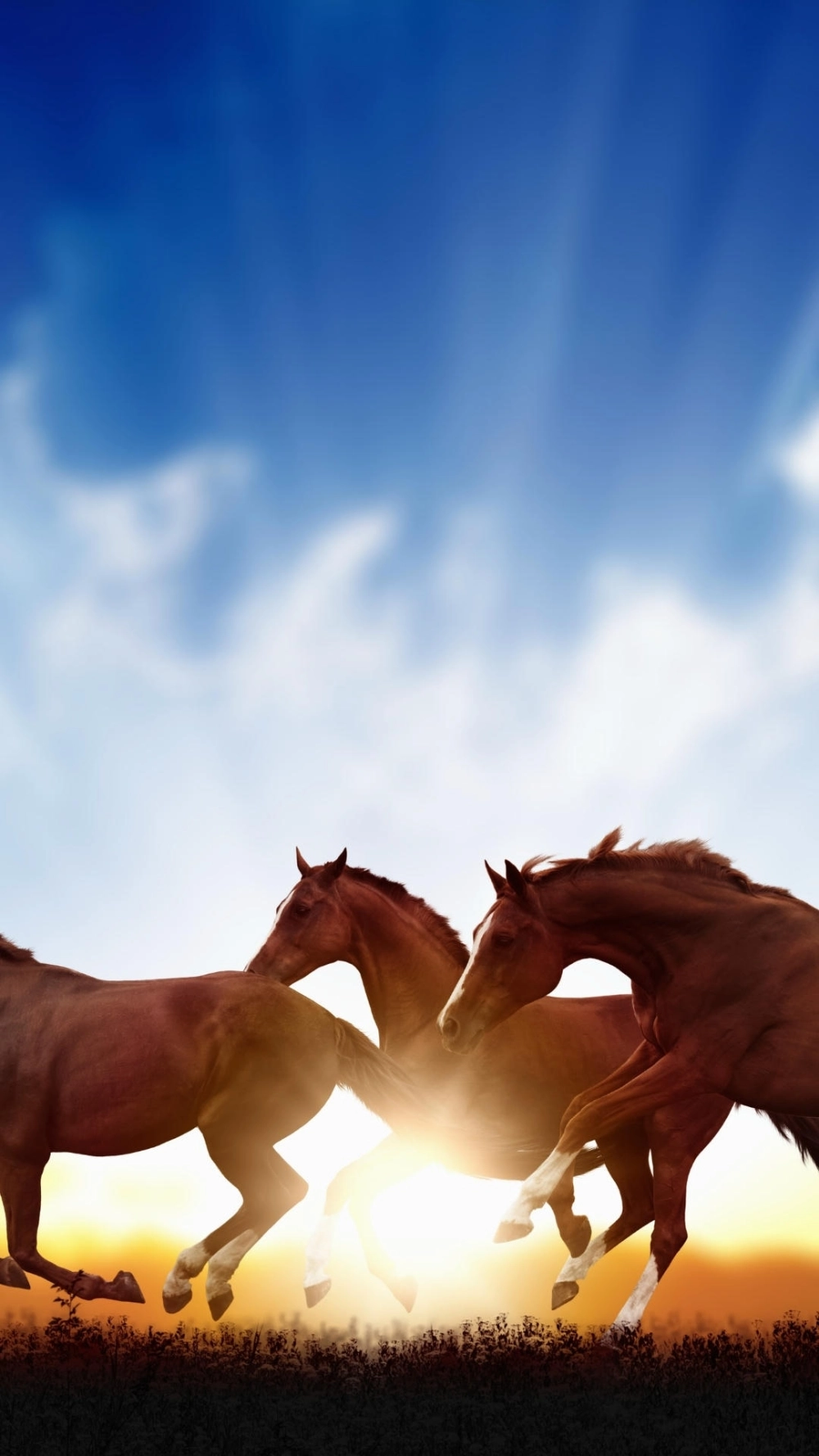 Hình nền ngựa đỏ may mắn rực rỡ cả năm