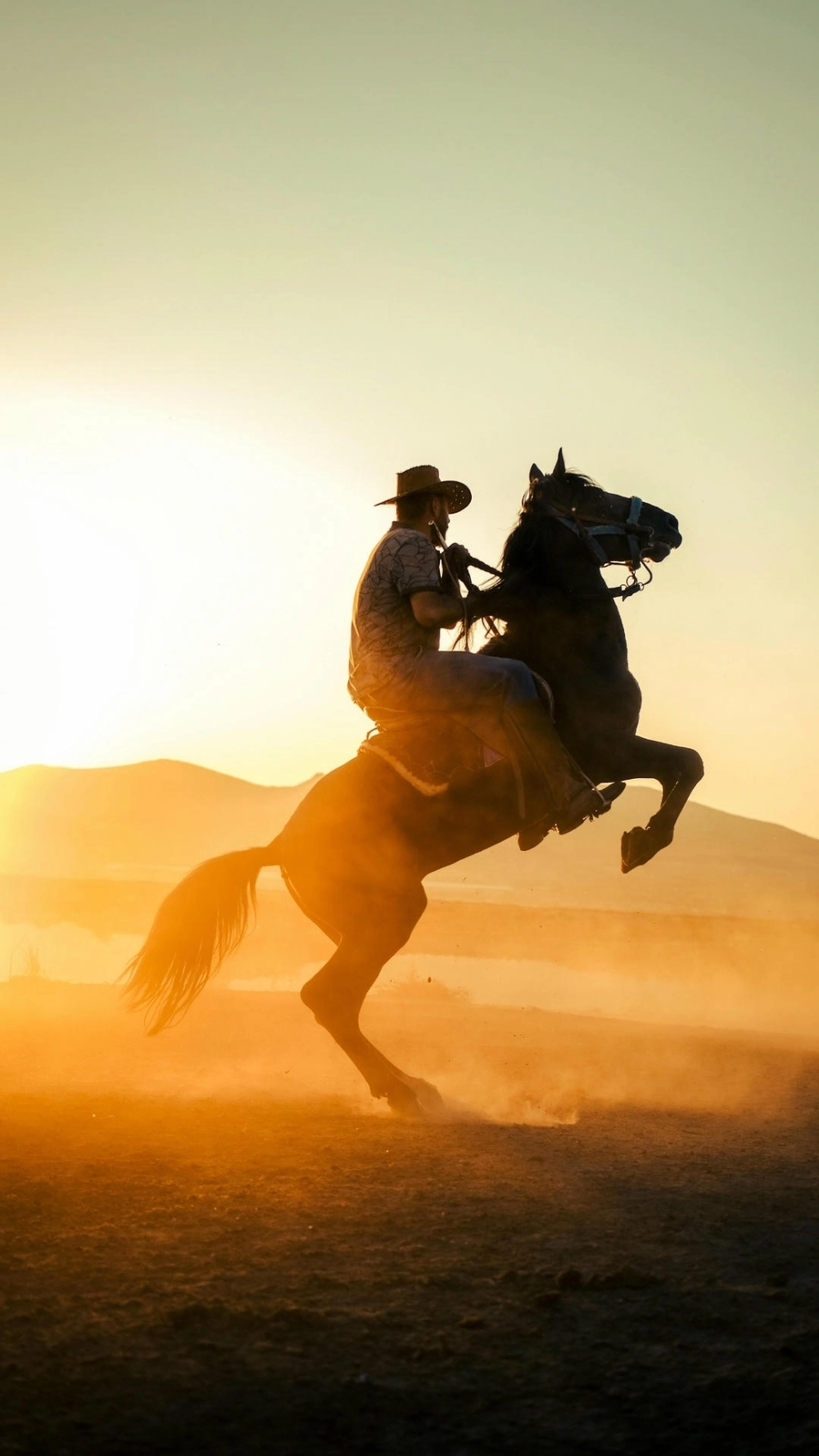 Ảnh ngựa phong thủy hút lộc cực kỳ mạnh mẽ