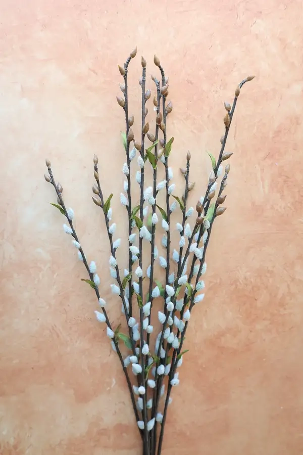 Hình nền nụ tầm xuân đẹp nhẹ nhàng an yên