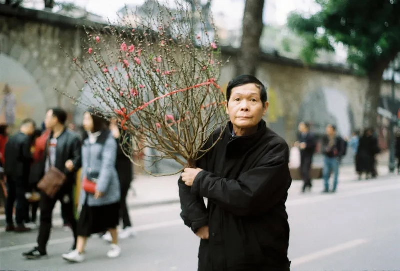 Ảnh chợ đào tết cho điện thoại hd