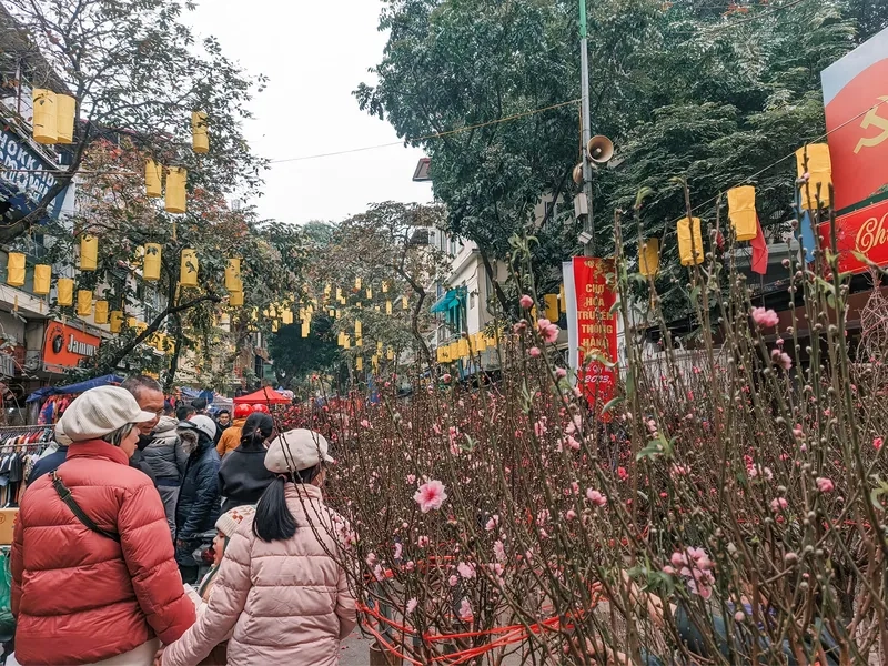 Tấm ảnh sắm tết chợ hoa nhộn nhịp