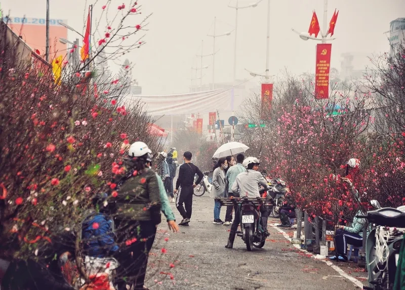 Bộ hình nền chợ hoa tết cho máy tính