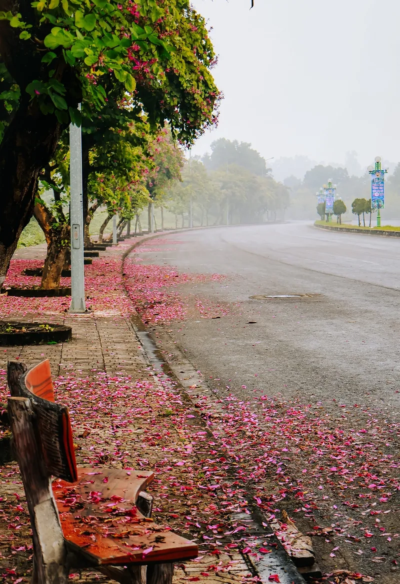 Mẫu hình nền phong cảnh đường hoa