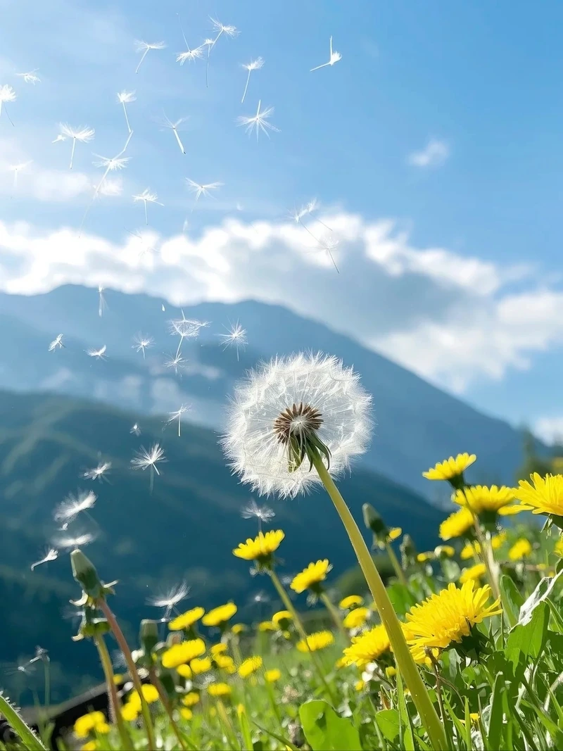 Sắc nắng tươi sáng từ hình nền hoa bồ công anh vàng