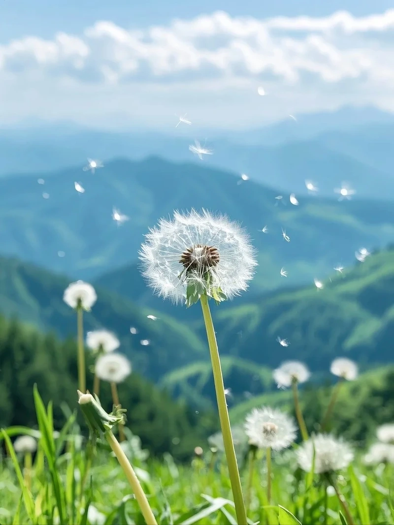 Thả hồn bay bổng cùng hình nền hoa bồ công anh mơ mộng