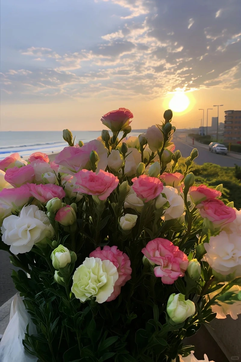 Hình nền hoa cát tường full hd nâng tầm không gian số