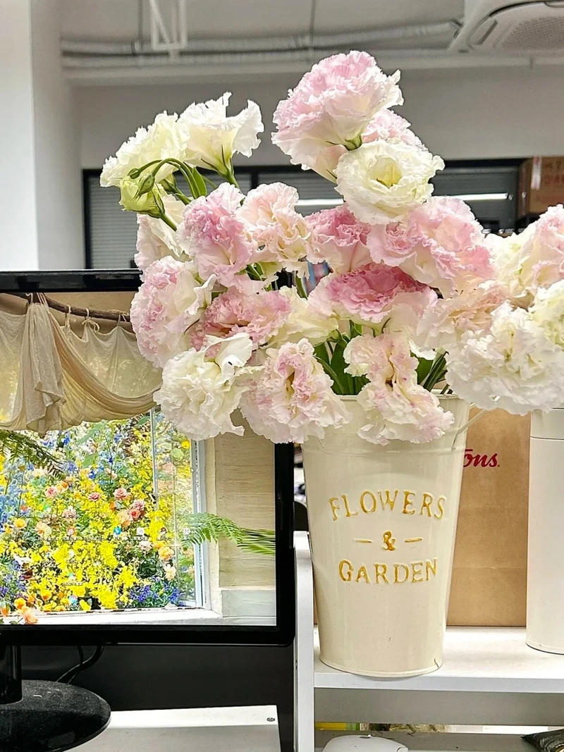 Hình nền hoa cát tường iphone nhẹ nhàng tinh tế mỗi ngày