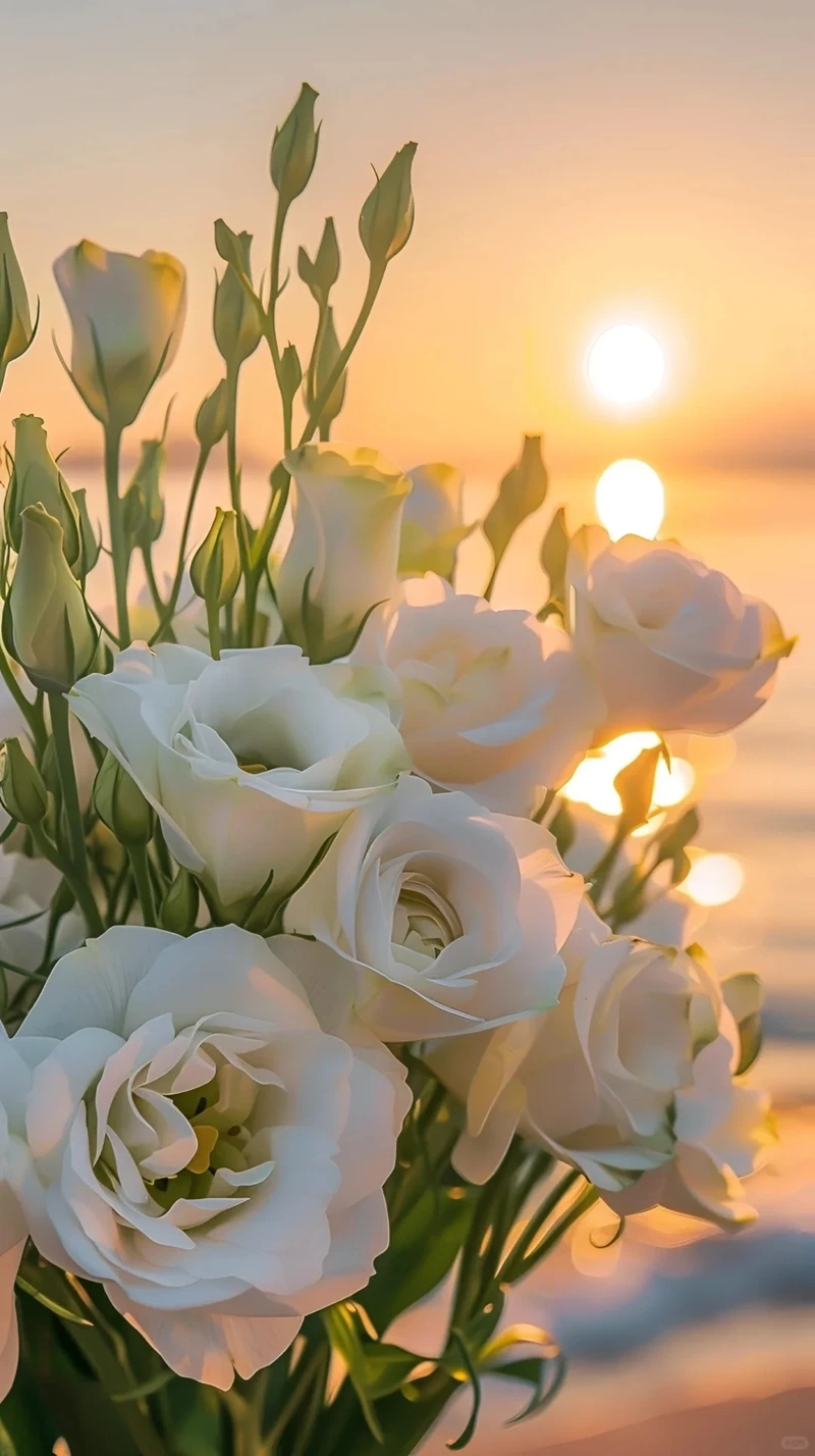 Hình nền hoa cát tường nghệ thuật đầy cảm hứng sáng tạo