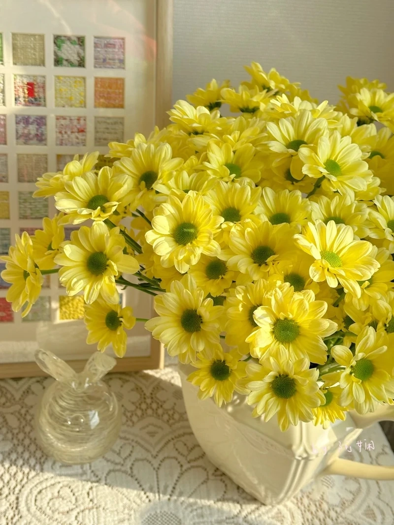 Hình nền hoa cúc vàng phong thủy cân bằng năng lượng tích cực