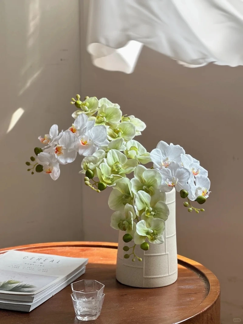 Hình nền hoa lan hồ điệp miễn phí dễ dàng lựa chọn sử dụng