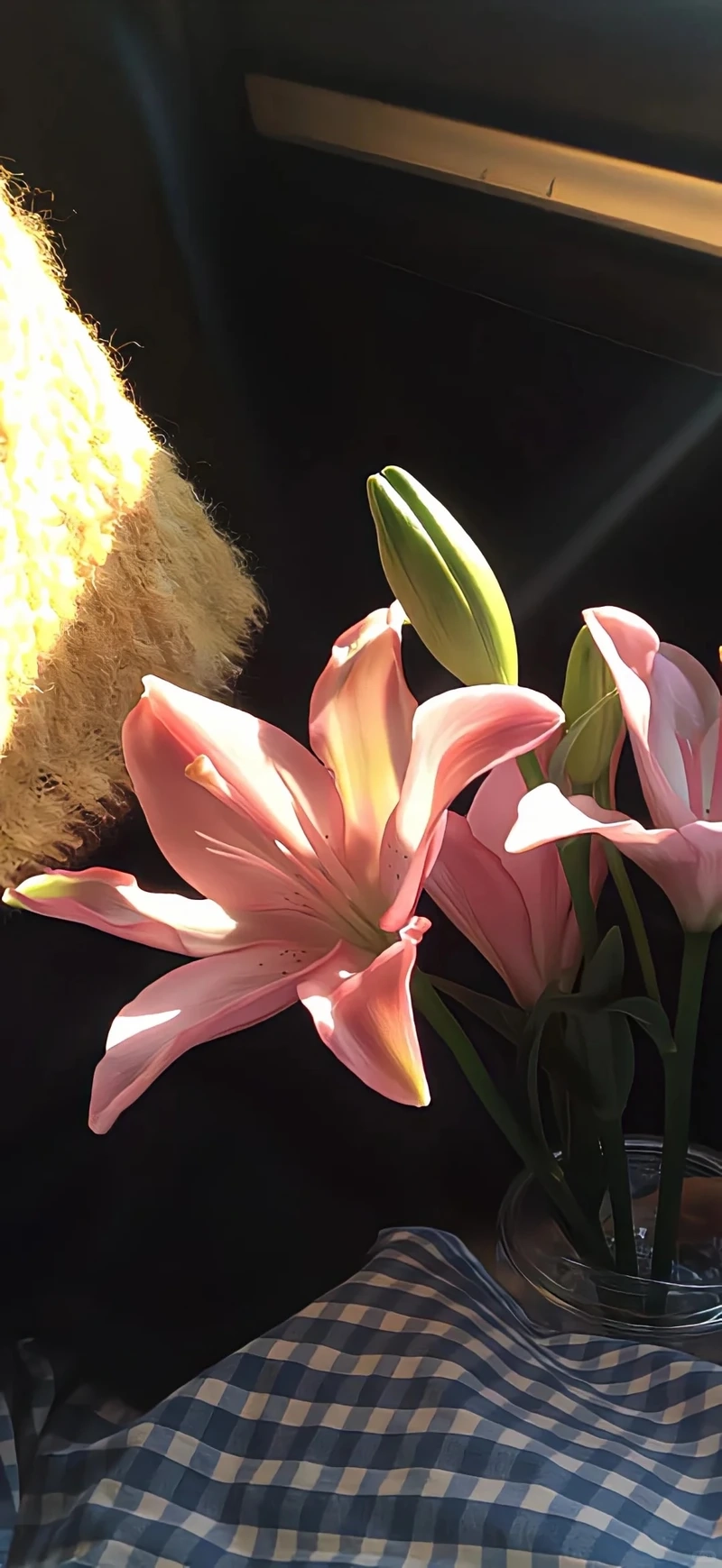 Chiều sâu thị giác với hình nền hoa ly nền tối