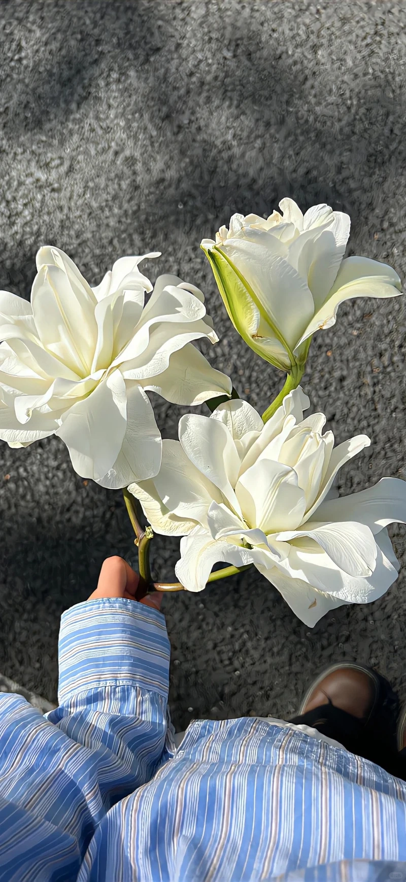 Mang ý nghĩa tốt lành với hình nền hoa ly may mắn