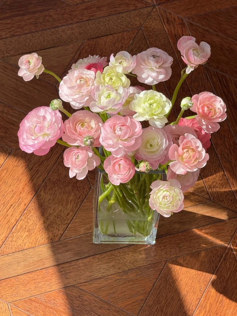 Cảm xúc ngọt ngào với hình nền hoa mao lương lãng mạn