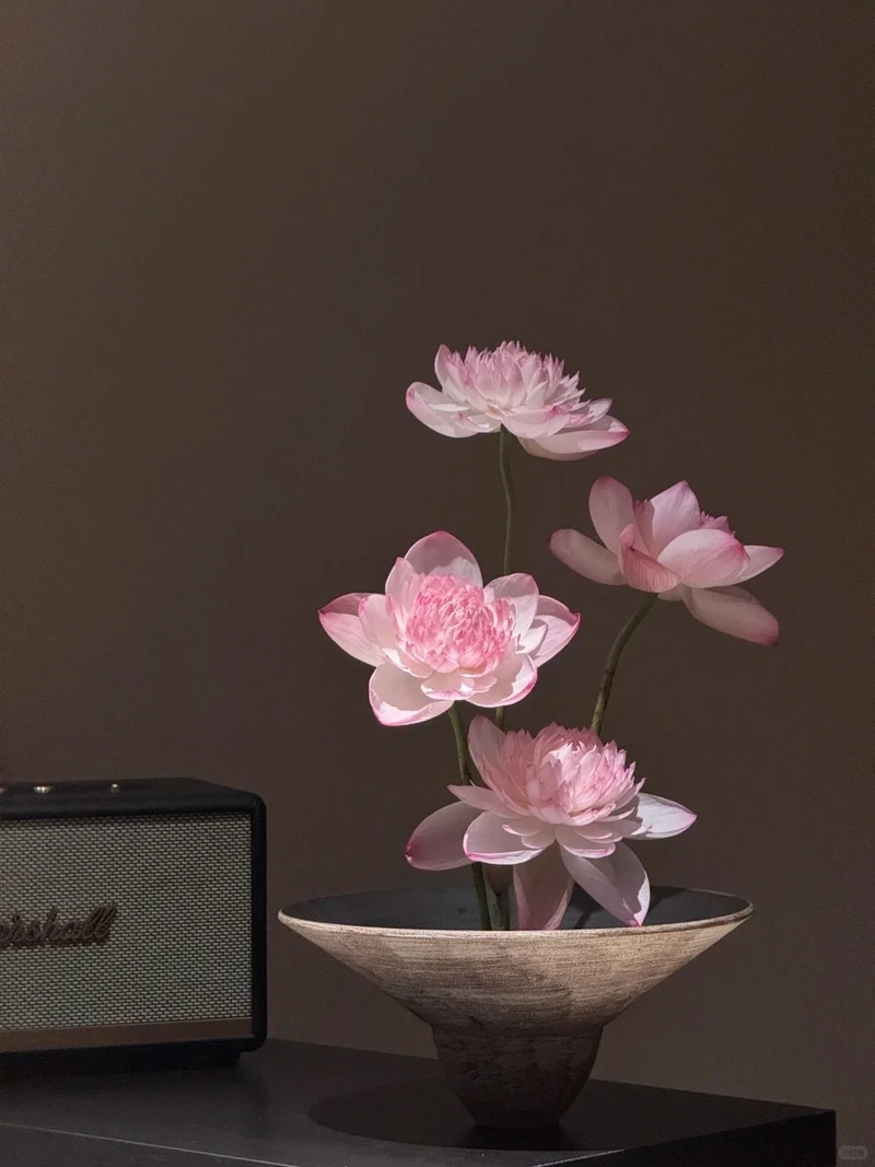 Hình nền hoa sen hồng chất lượng cao rõ nét chân thực