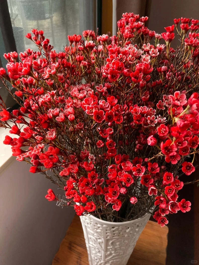 Hình nền hoa thanh liễu để bàn làm dịu không gian làm việc