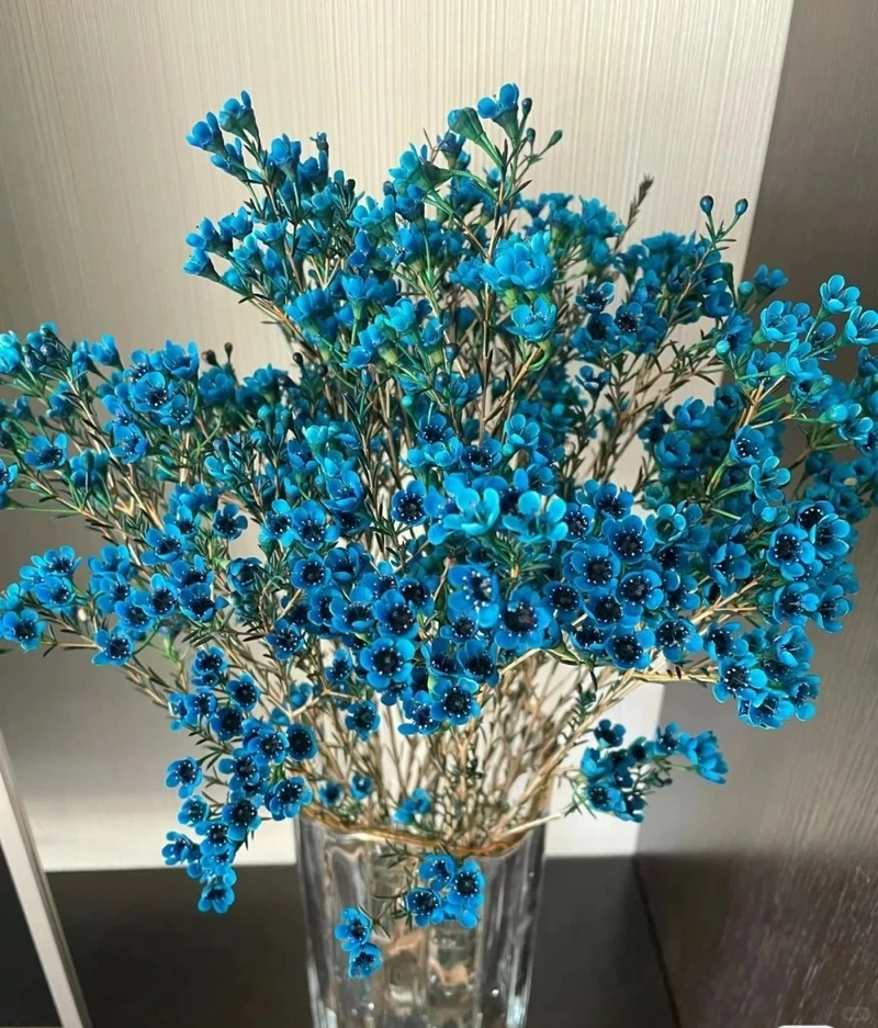 Hình nền hoa thanh liễu phong cách hàn quốc trẻ trung tinh khôi