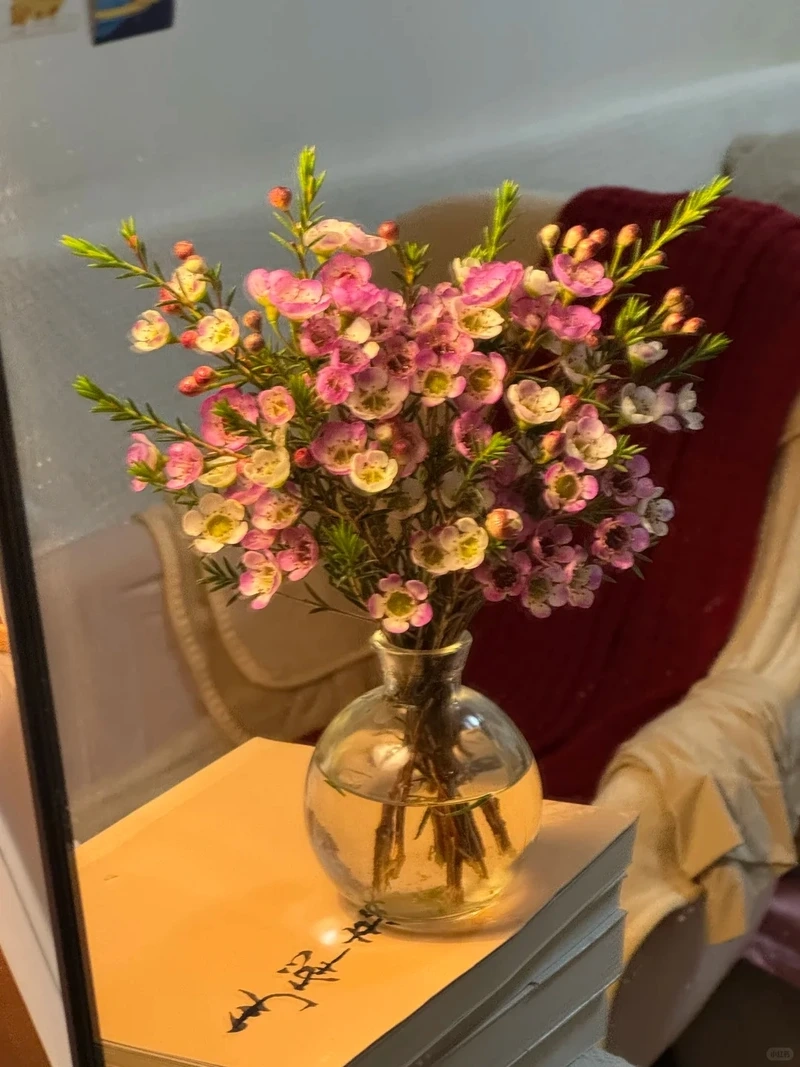 Hình nền hoa thanh liễu vintage gợi nét đẹp hoài niệm