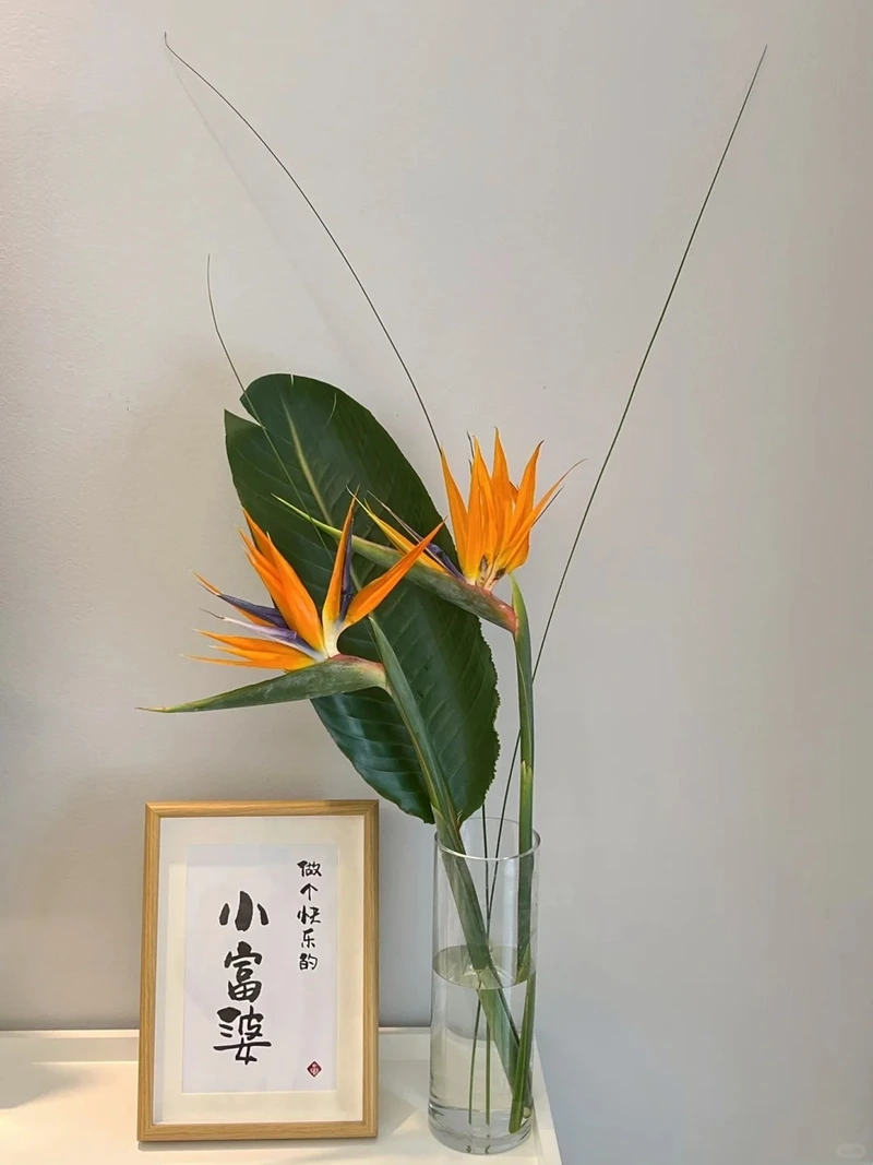 Từng chi tiết rõ ràng với hình nền hoa thiên điểu sắc nét