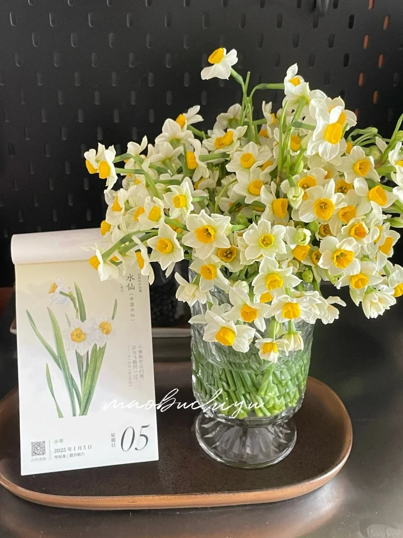 Ý nghĩa của hình nền hoa thủy tiên 