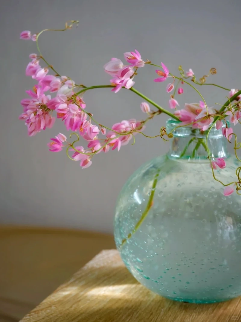 Gửi gắm yêu thương bằng hình nền hoa tigon tình yêu