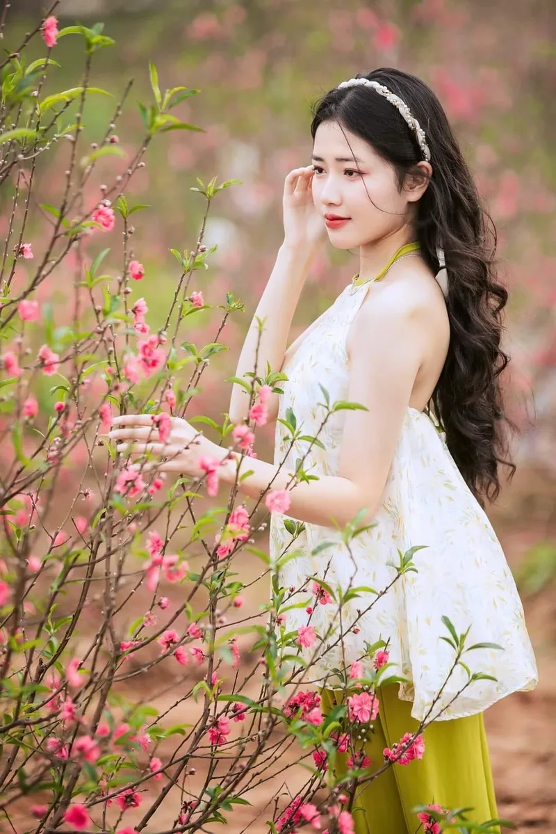 Hình nền lễ hội xuân múa lân rộn