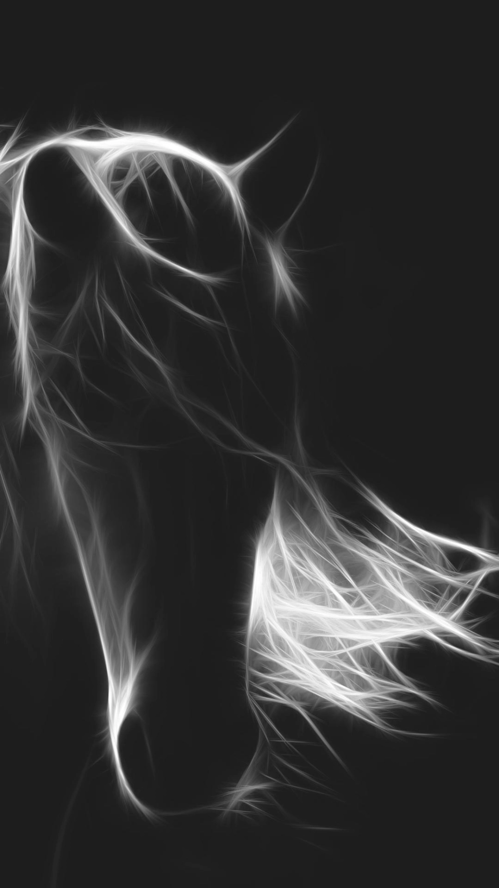 Ngựa bính ngọ 4k siêu nét đang phi nước đại