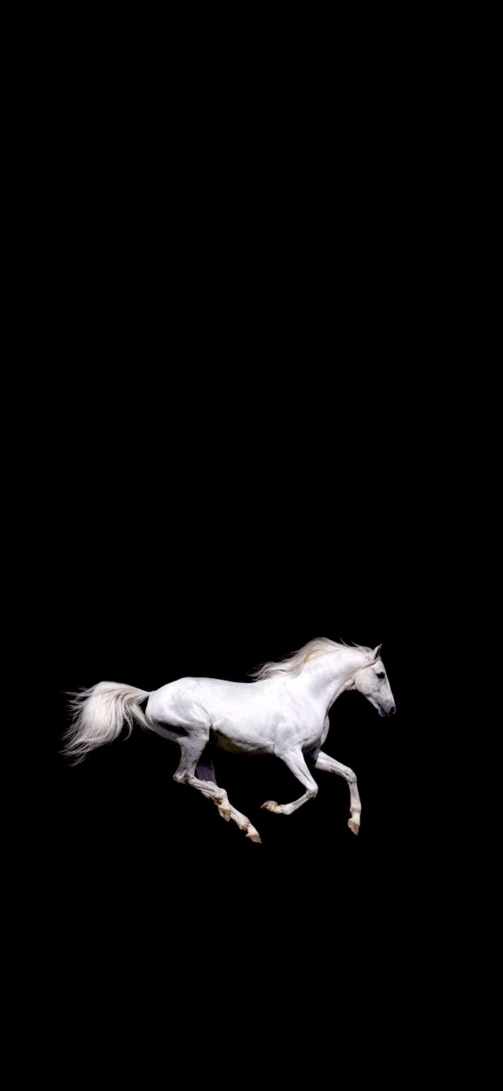 Hình nền ngựa ít chi tiết cực kỳ chuyên nghiệp