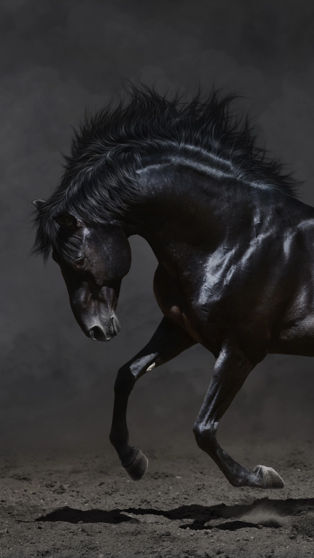 Ảnh ngựa ngầu anime với nét vẽ tinh xảo