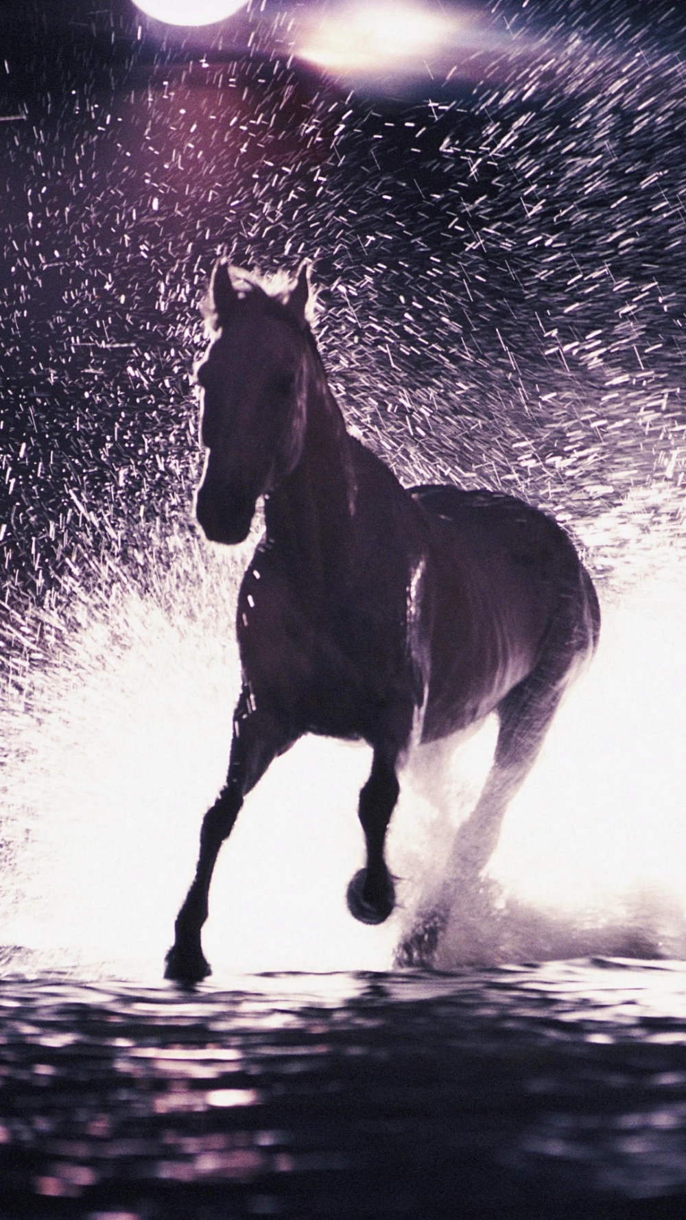 Hình nền ngựa phi nước đại 3d phong cách thần thoại