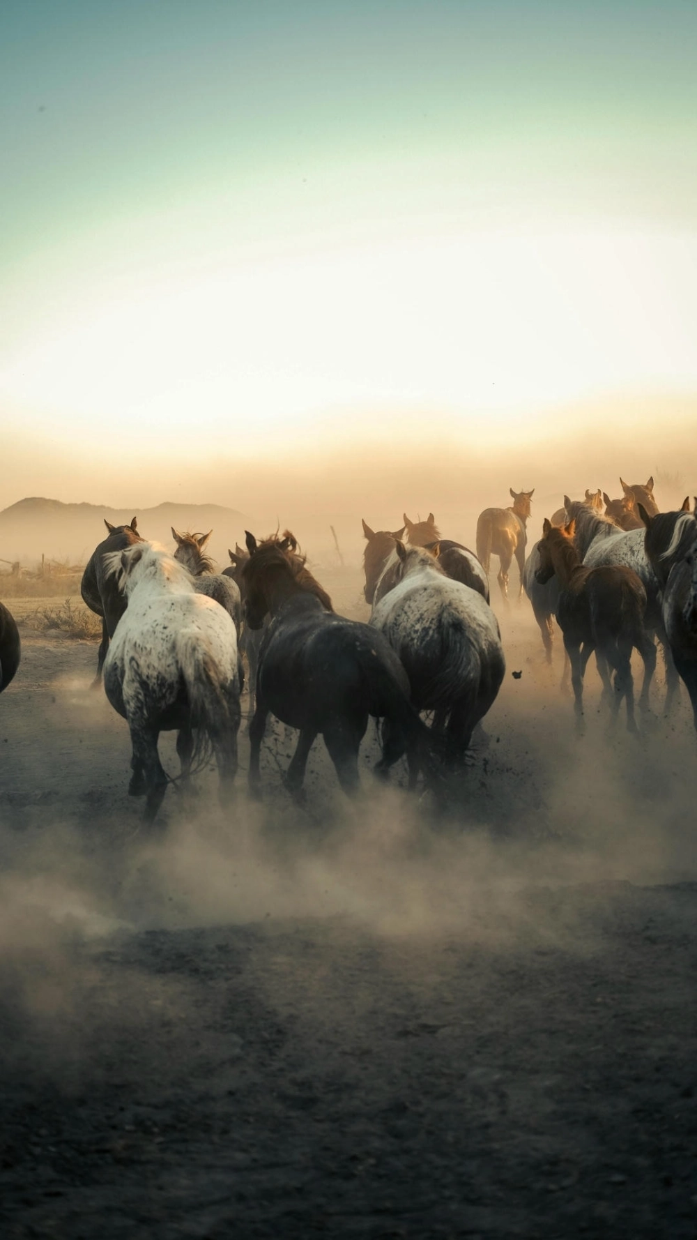 Ngựa bính ngọ bứt phá dẫn đầu xu hướng năm mới