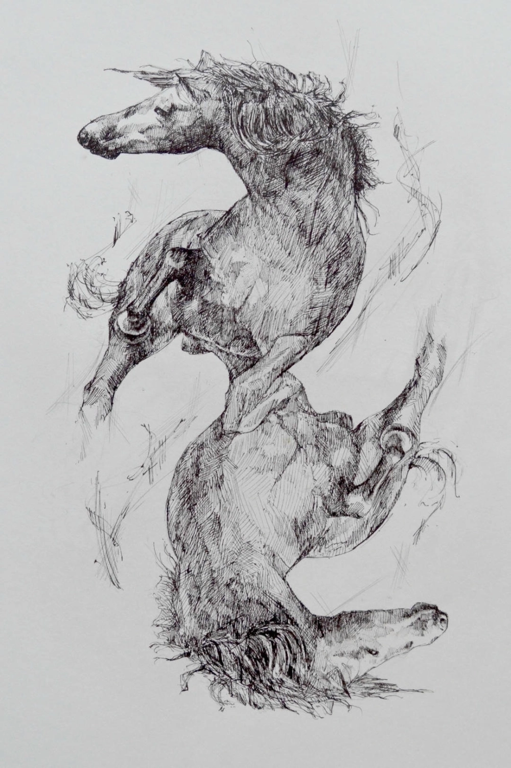 Ngựa thủy mặc nghệ thuật kết hợp thư pháp