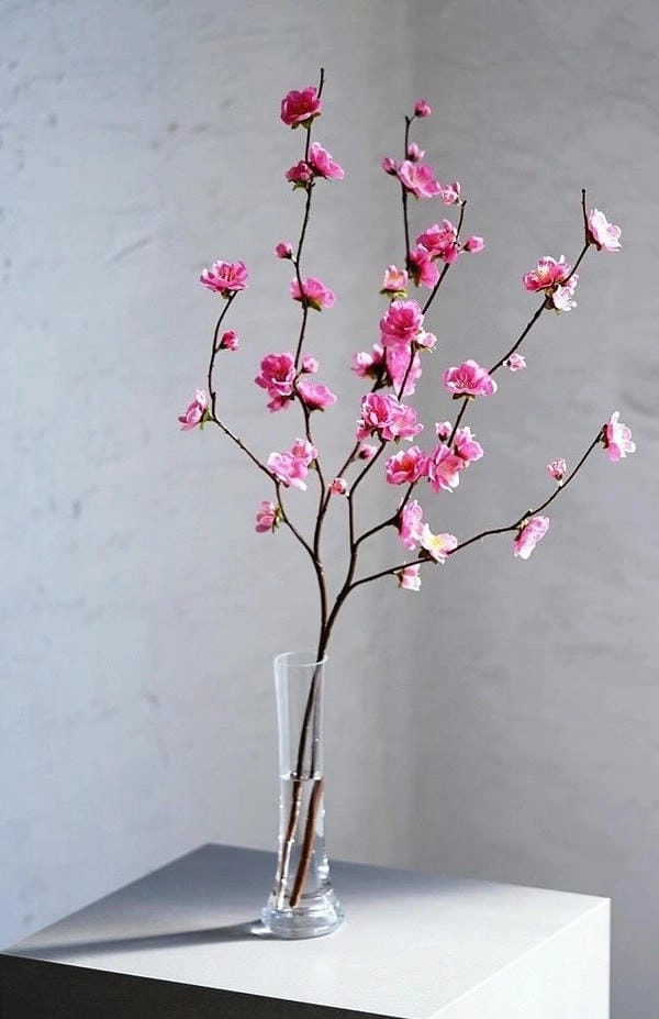 Hình nền cành đào ngày tết rộn ràng hồn xuân