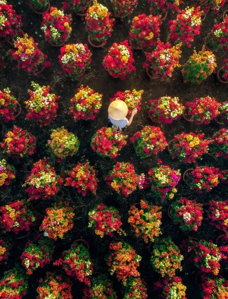 Trọn vẹn mùa xuân cùng Ảnh làng hoa tết