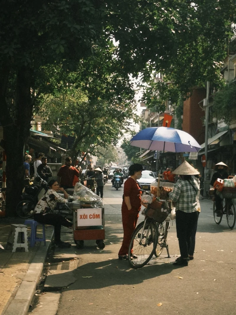 Chọn Ảnh nắng xuân cho ngày mới