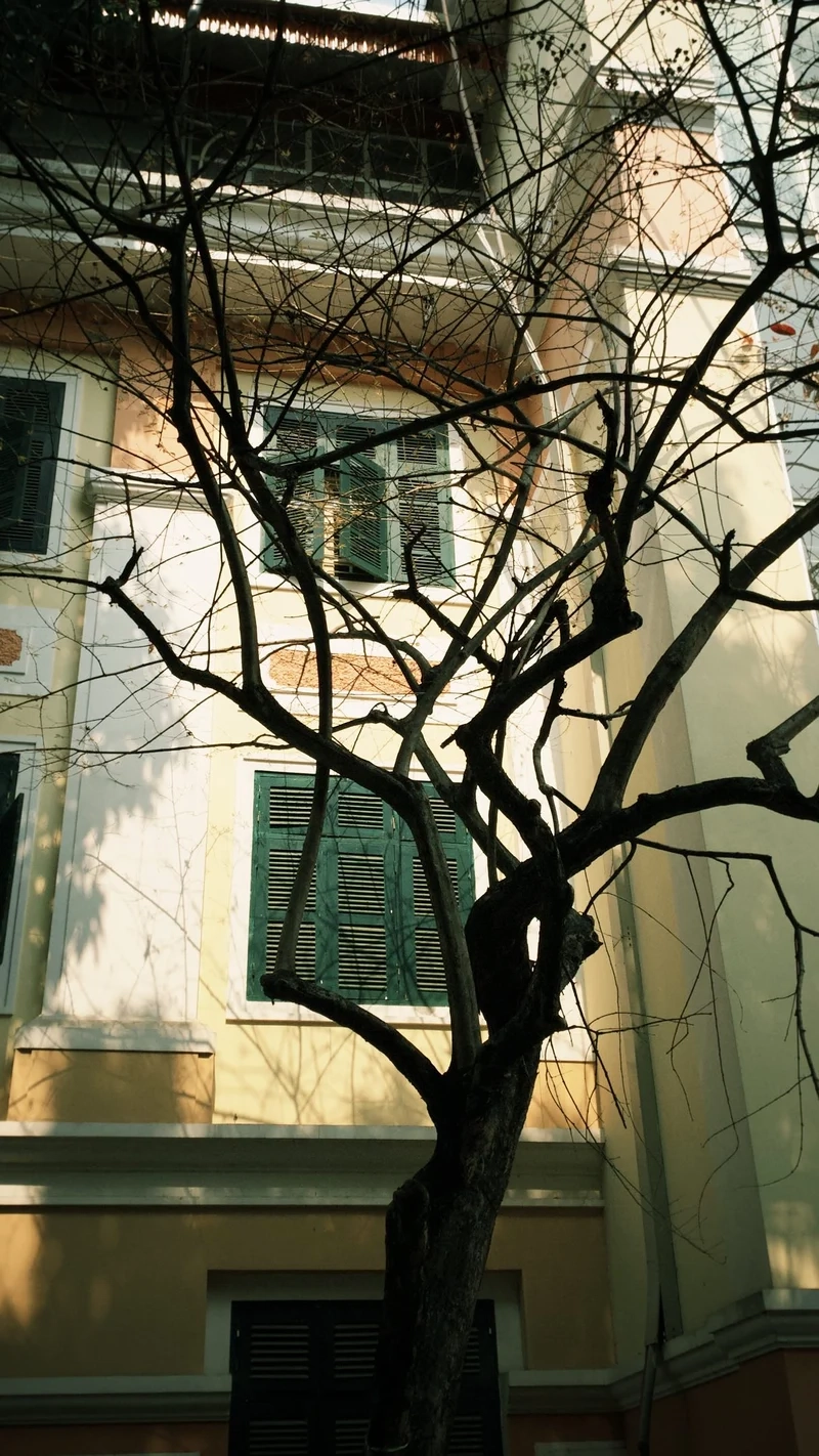 Tận hưởng vẻ đẹp từ Ảnh nắng xuân