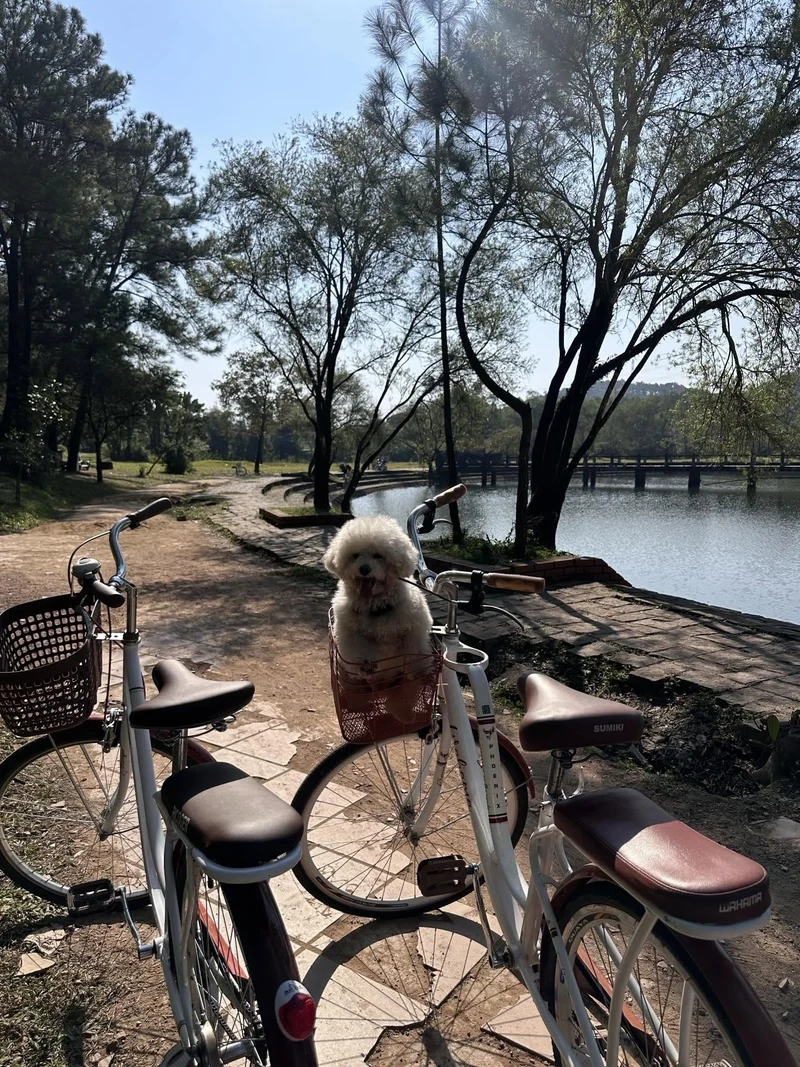 Khám phá vẻ đẹp qua Ảnh nắng xuân