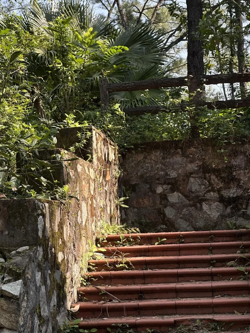 Ảnh nắng xuân cho tâm hồn thư giãn