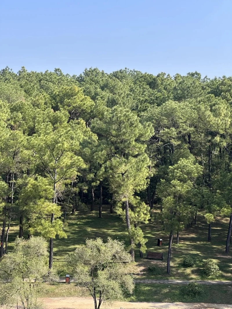 Ảnh nắng xuân lan tỏa sự bình yên