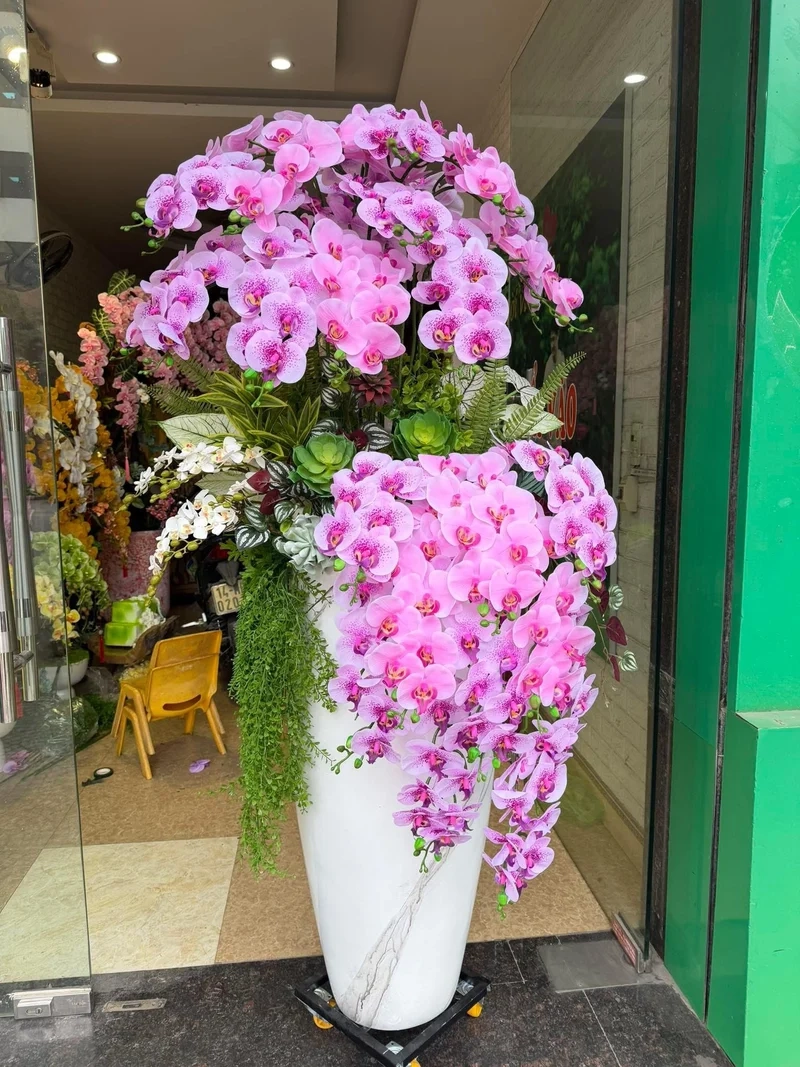 Hình nền cây cảnh tết tạo cảm giác sum vầy