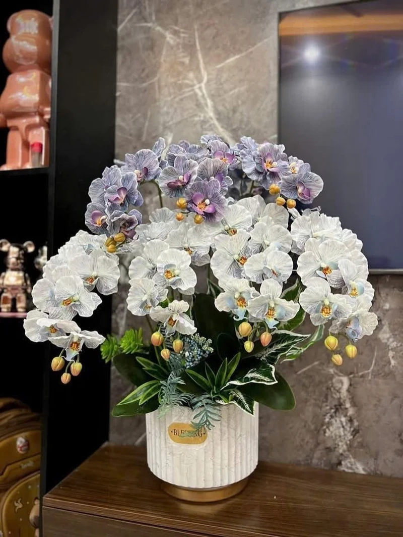 Hình nền cây cảnh tết nổi bật sắc xuân