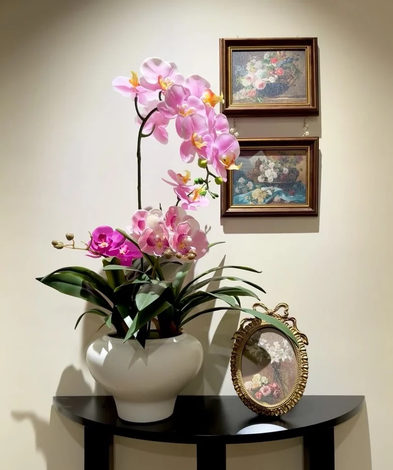 Hình nền hoa tết tươi sáng giúp không khí xuân về